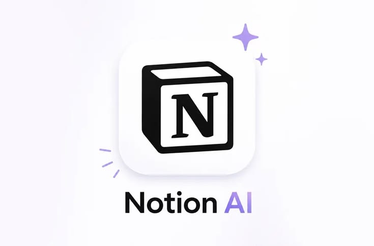 Notion Plus 1 Year (30-Day Warranty)
